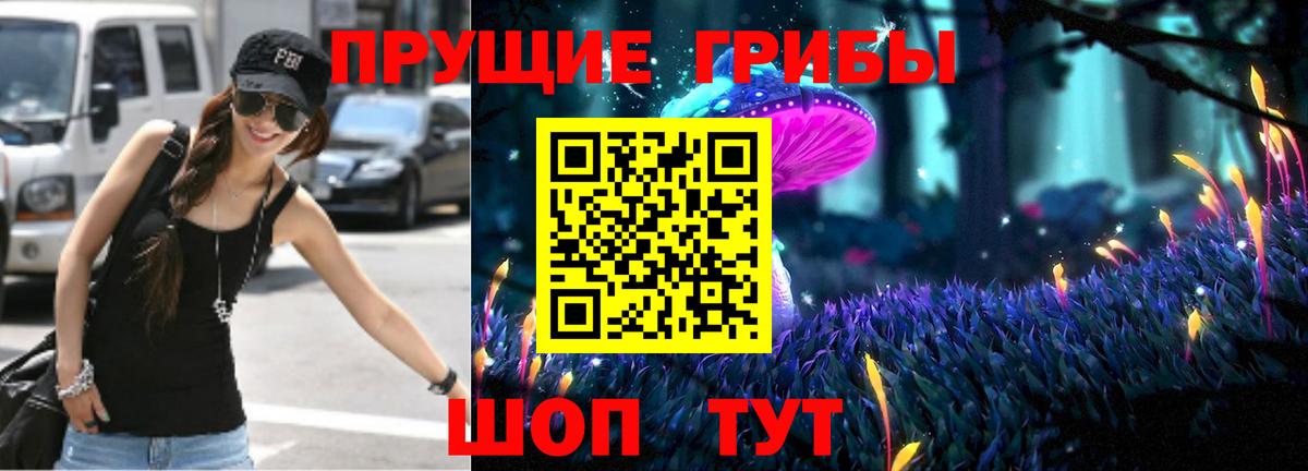 Мыски  Псилоцибиновые грибы GOLDEN TEACHER  Псилоцибиновые грибы Magic Shrooms  Вход с VPN 
