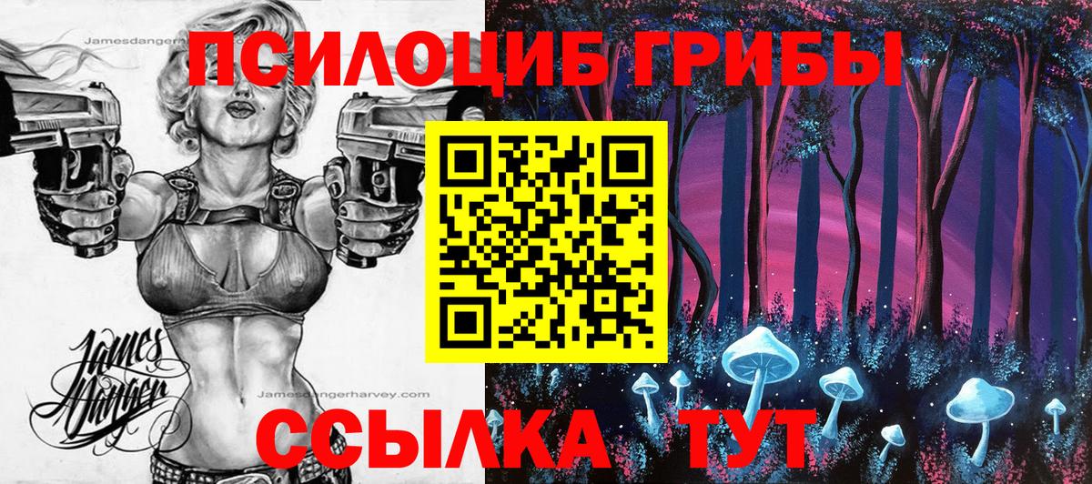 Псилоцибиновые грибы Psilocybine cubensis Мыски